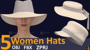 5个女士帽子草帽太阳帽模型 5 women hat 3d models (VOl.01) 