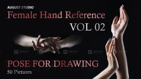 女性手部绘画姿势 - 第二卷 Female Hand Pose For Drawing - Vol 02