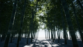 【UE】XBH 树 第三卷  XBH TREE Vol. 3