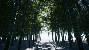 【UE】XBH 树 第三卷  XBH TREE Vol. 3