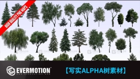 写实Alpha树木图片素材合集 Evermotion Textures4ever vol.8