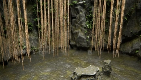 丛林泳池 Jungle Pool