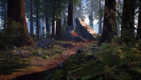 【UE】森林入门包  Forest Starter Pack