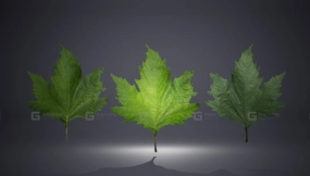 【UE】叶片包  Leaf Pack