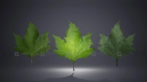 【UE】叶片包  Leaf Pack