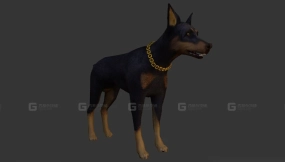 杜宾犬 Doberman 16