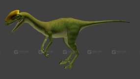Guanlong - 冠龙