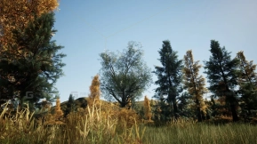 【UE】写实秋季森林场景 2x2  Realistic Autumn Forest Location 2x2