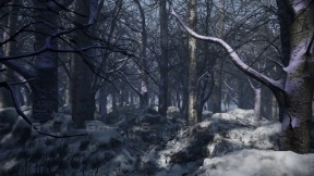 【UE】冷杉林  Cold Forest