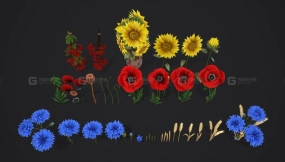 【UE】风格化手绘野花包低多边形  Stylized Handpainted Wildflowers Pack Low-poly 3D Model