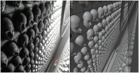 受漫画启发的超现实3D人脸墙壁