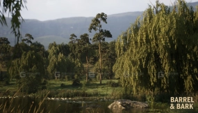 【UE】柳树湖生物群落环境  Willow Lake Biome Environment