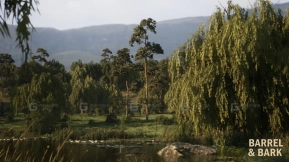 【UE】柳树湖生物群落环境  Willow Lake Biome Environment