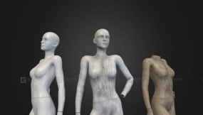 女性人体模型 模块化 Female Mannequin ( Modular )