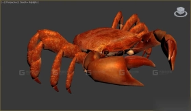 来自DH的螃蟹 Crab from the dh2 27