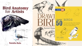 鸟类绘画骨骼肌肉羽毛线稿参考素材 Bird drawing skeleton muscle feather line art reference materials