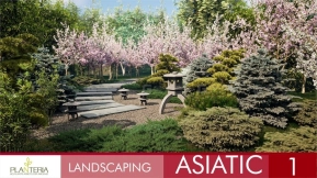 【UE】亚洲景观植被包vol1  Landscaping Asiatic 1