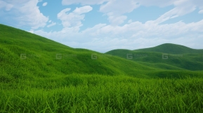 【UE】Nanite草 Nanite Foliage - Grass