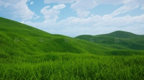 【UE】Nanite草 Nanite Foliage - Grass