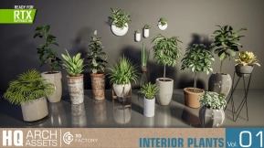 【UE】HQ植物合集 第1卷（室内植物）  HQ Plants Vol.1 ( Interior Plants )