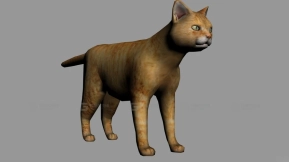 猫 Cat 4