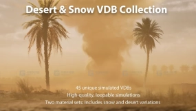 【UE】沙漠与雪VDB铁小合集  Desert & Snow VDB Collection