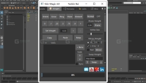 Maya模型权重脚本 Skin Magic
