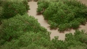 【UE】灌木丛VOL9  Foliage VOL.9 - Coyote Bushes (Nanite and Low Poly)