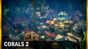 【UE】珊瑚 2  Corals 2