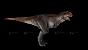 Carno - 食肉牛龙