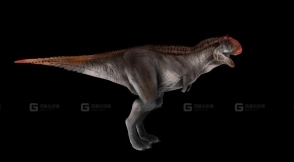 Carno - 食肉牛龙