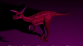 干角龙 Dryoceratops 0