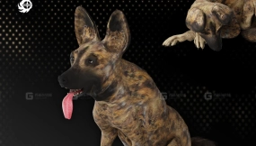 非洲野犬（已绑定骨骼，含动画）  African Wild Dog (Rigged,Animated)