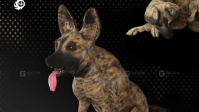 非洲野犬（已绑定骨骼，含动画）  African Wild Dog (Rigged,Animated)