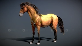 棕色西班牙野马 Horse — Spanish Mustang ( Dun )