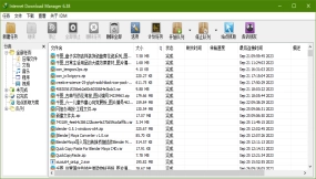 Internet Download Manager (IDM)万能下载软件