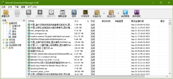 Internet Download Manager (IDM)万能下载软件