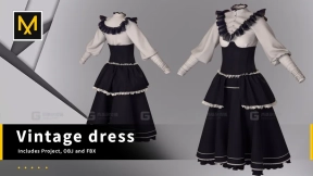 欧式复古女装长裙 Vintage Dress