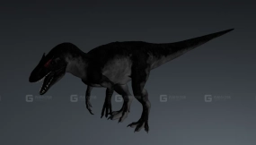 南方猎龙 Australovenator 0