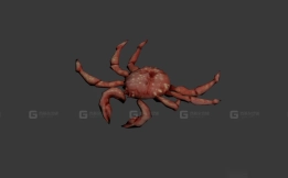 螃蟹 Crab 5