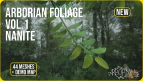 【UE5.1-5.5】ArborianStudio Foliage Vol.1 | Nanite 森林