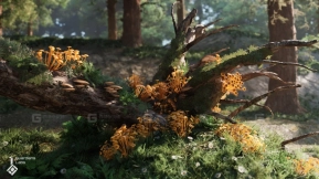 【UE】森林真菌 - 蘑菇资源包  Forest Fungi - Mushroom Pack