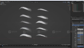 10种眉毛实体毛发模型  10 eyebrow models
