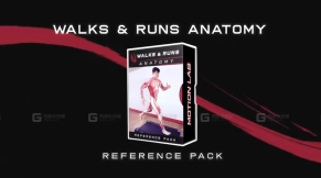 角色肌肉解剖跑步动作参考视频 Anatomy Locomotion Pack