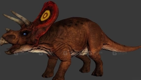 Triceratop - 三角龙