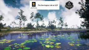 【UE】美国东南部植物和生态系统35 AR VR Southeastern US Plants and Ecosystems
