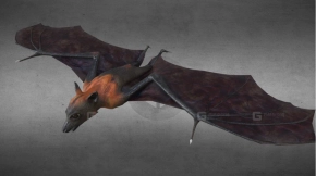蝙蝠模型 THUNDER - Flying Fox