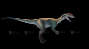 Dilo 3D model1 - 双脊龙1