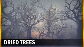 【UE】枯树  Dried trees