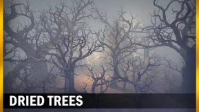 【UE】枯树  Dried trees